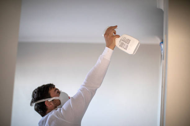 Best Kitchen Mold Remediation in Montezuma, GA