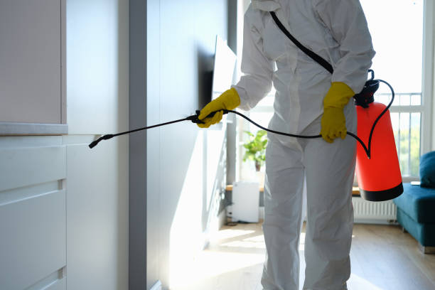 Best DIY Mold Remediation Support Services in Montezuma, GA