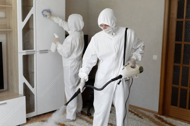 Best Commercial Mold Remediation in Montezuma, GA