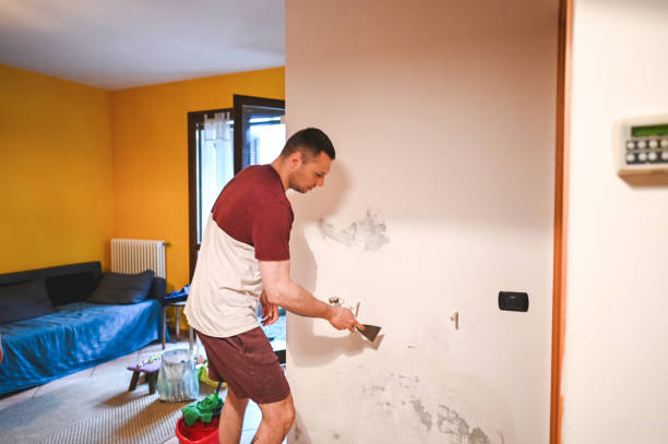 Reliable Montezuma, GA Mold Remediation Solutions