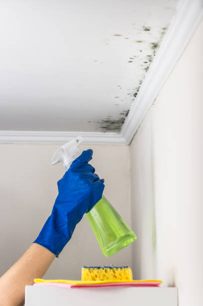 Montezuma, GA Mold Remediation Company